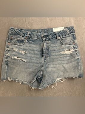 American Eagle Outfitters Light Wash Distressed Jean Shorts